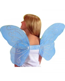 Ailes D'ange Plumes Rose Fuschia