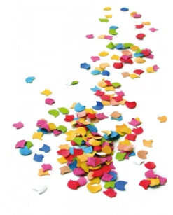 Confettis Multicolores 450 Grammes Pour Anniversaire Ou Fête