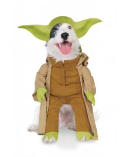 Déguisement Yoda Pour Chien Officiel