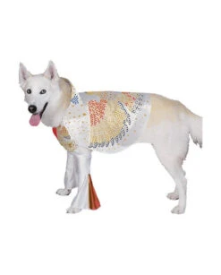 Déguisement Elvis Presley Pour Chien - Deguizz.fr