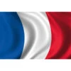 Grand Drapeau Français 150 X 90 Cm | Deguizz.fr -Fête Vêtements Boutique grand drapeau francais