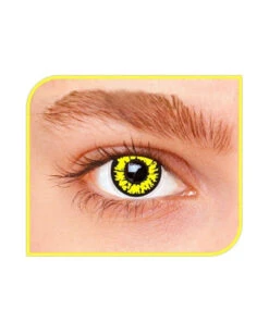 Lentilles Fantaisie Loup Jaunes