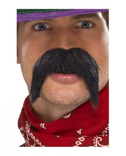 Moustaches Noires Mexicaines Adulte