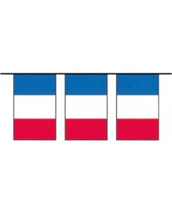 Petit Drapeau Français Avec Hampe