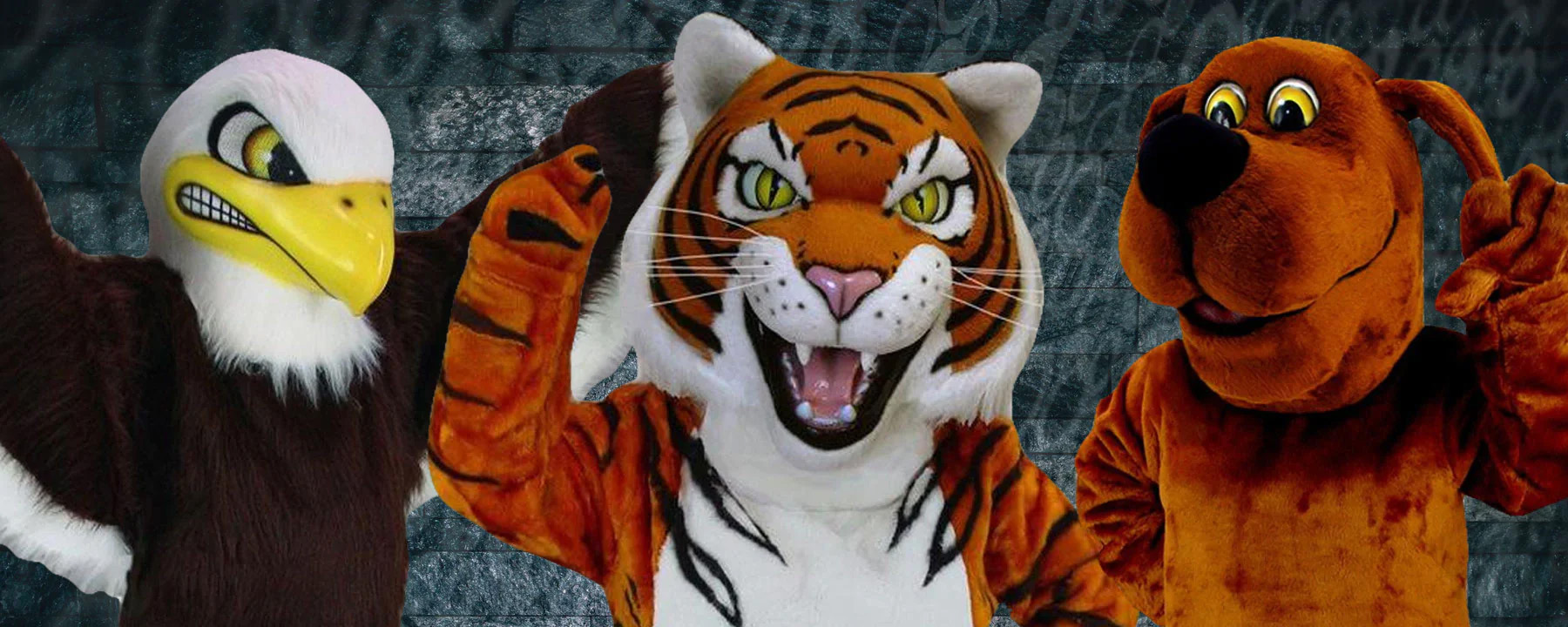 Fête Vêtements Boutique -Fête Vêtements Boutique 2